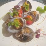 ペペロッソ - モルースキ・アッラ・クルダイオラ（貝のワイン蒸し　トマトとクルミソース・ハーフ）　￥745