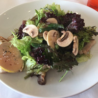 Benoit Alain Ducasse - 