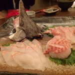 銘酒逸品　風来 - 蝶鮫刺身