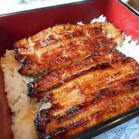 川越 いちのや - 特製うな重(菊)