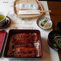 川越 いちのや - 特製うな重(菊)3620円