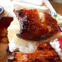 川越 いちのや - アップ