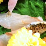 居酒屋 しあん - イシダイ