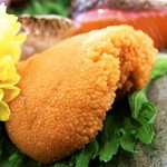 居酒屋 しあん - この日のオススメのウニ♪　すごく美味しかった♪♪