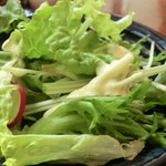 Hokkai Sakaba Shizunai - グリーンサラダ（ランチ）