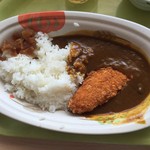 Bunkyou Kuyakusho Shokuin Shokudou - サーモンフライカレー 590円