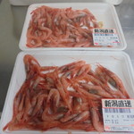 本庄鮮魚センター - スナエビ