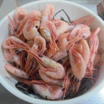 本庄鮮魚センター - スナエビ茹でた