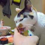 本庄鮮魚センター - うまいじょ