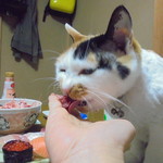 本庄鮮魚センター - たべちゃうじょ