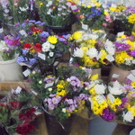 農産物直売所 こだま館 - 切り花も安い！