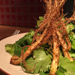 Wineshop & Diner FUJIMARU - パクチーサラダ 揚げた根も美味しい！