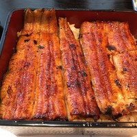 うなぎ藤田 白金台店 - うな重（山）