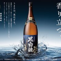 黒白波