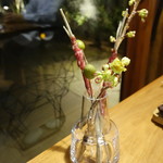 セララバアド - 桜