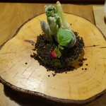 セララバアド - 春の大地