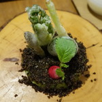 セララバアド - 春の大地