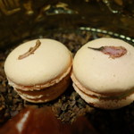 セララバアド - 桜