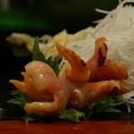 宝寿司分店 - 赤貝