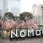 NoMad Grill - 