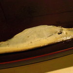 すし処 めくみ - 広げると20㌢超 … 大原の鮑(十五年超もの)