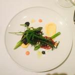 ピアッティ カステリーナ - 