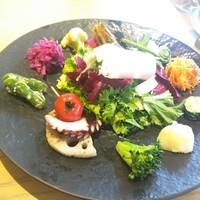 MOTORA  - 