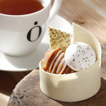 bubo BARCELONA 表参道店