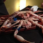 祇園 さゝ木 - 間人蟹