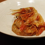 茶禅華 - 酔っぱらいボタン海老