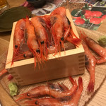 海鮮酒蔵 二三一 - 