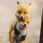 北こぶし知床 ホテル＆リゾート - 