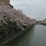 岡崎茶寮 豆狸 - お堀の桜〜①〜
