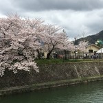 Okazaki Saryou Mameda - 桜と小っちゃな観覧車