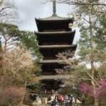 Okazaki Saryou Mameda - 仁和寺の写真はコレだけです (^^;;