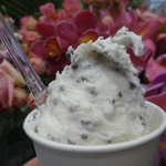 ウィンディーランド - チョコチップ