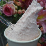 ウィンディーランド - さくら