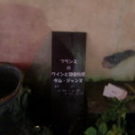 ダム・ジャンヌ - 