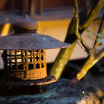 イチリン ハナレ