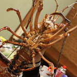 からかさ - 伊勢エビ！！