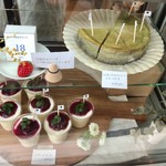 アンズトモモ - 