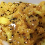 SPICY CURRY 魯珈 - カリフラワーのウールガイ