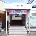 フレンチ サクラ - 熊川駅