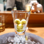 TACUBO - オリーブ