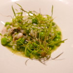 TACUBO - グリーンピースとハマグリのリゾット