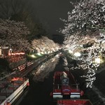麺家 いろは - 富山城横 松川の夜桜