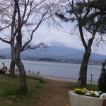 カフェ ミミ - レストラン前の富士山