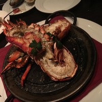 MAIMON GINZA - 