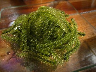 宮古島グルメ選 これだけは食べたいおすすめをご紹介 食べログまとめ