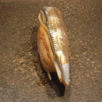 寿し おおはた - 